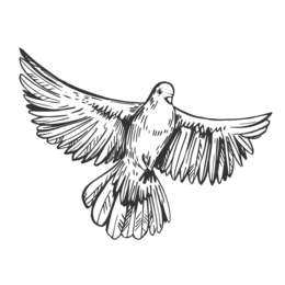 Grafik eines fliegenden Vogels mit ausgebreiteten Flügeln auf schwarzem Hintergrund.